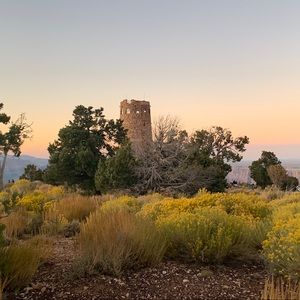 Meet your Posher, Michaela